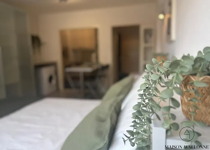 Le De La Cathedrale - Hypercentre Avec Balcon